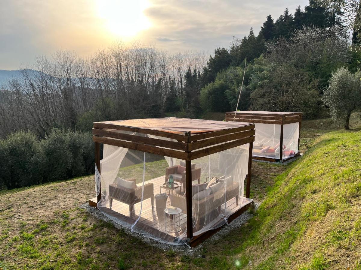 Casa Del Pino Bed & Breakfast Borgo a Buggiano Bagian luar foto
