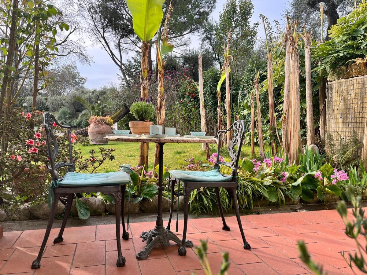 Casa Del Pino Bed & Breakfast Borgo a Buggiano Bagian luar foto